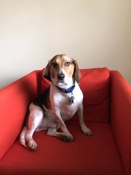 /Images/uploads/Congregation Beth Emeth/bethemeth/entries/17632thumb.jpg